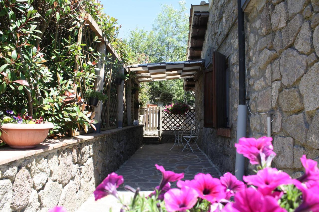 Agriturismo Biagiotti Abbadia San Salvator Exteriör bild